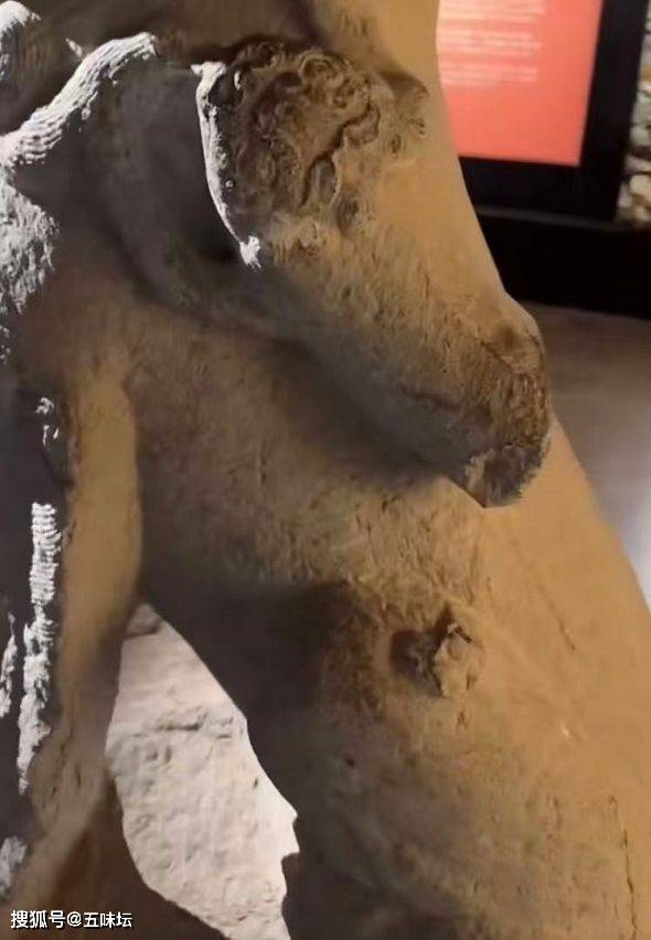 百年石狮疑遭窃17年后现身私人博物馆 村民呼吁追回文物警方介